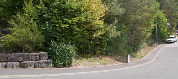  قطعة أرض في Bad Kissingen, Germany رقم 318439 2