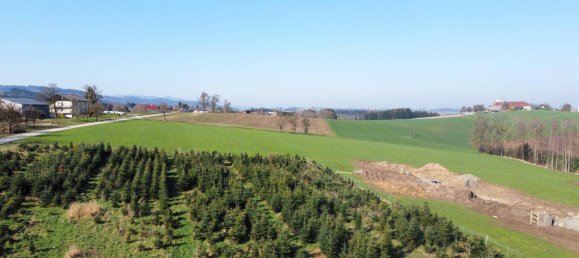  Land in Waldneukirchen, Austria No. 15082 6