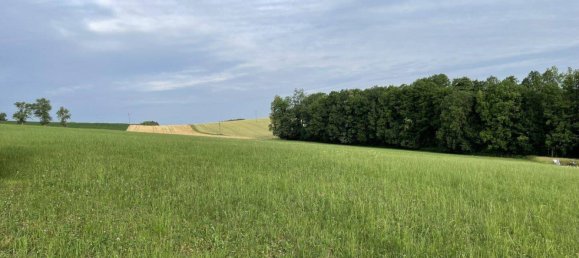  Land in Waldneukirchen, Austria No. 15082 2