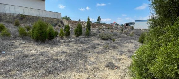  Land in Ciudad Quesada, Spain No. 189146 10