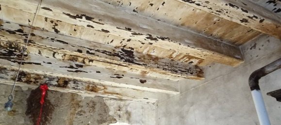 4 bedrooms Villa in Poppi, Italy No. 179569 14