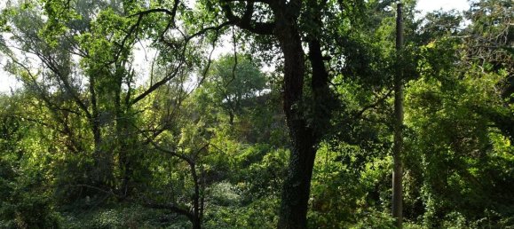 4 bedrooms Villa in Poppi, Italy No. 179569 22