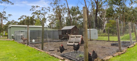 Casa de 4 dormitorios en Koonwarra, Australia No. 1102 28