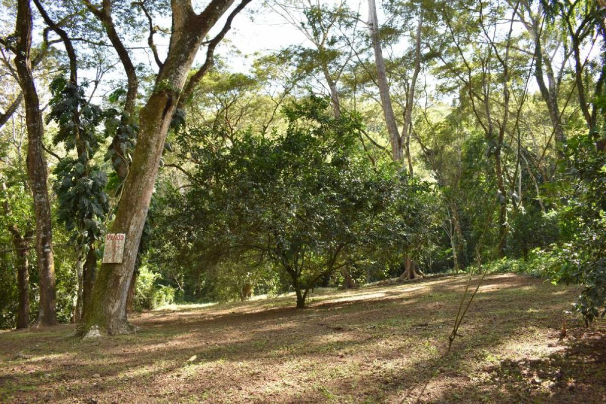  Land in Jaco, Costa Rica No. 2034