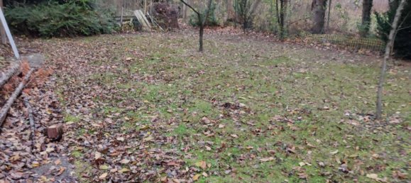  Land in Ebenfurth, Austria No. 30737 4