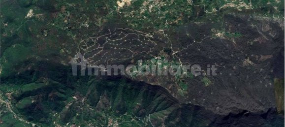 1 Schlafzimmer Haus in Serle, Italy, Nr. 101863 14