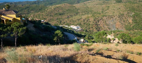 16579m² Land in Estepona, Spain No. 145993 3