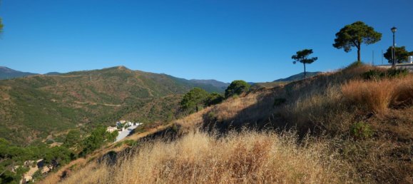 16579m² Land in Estepona, Spain No. 145993 2