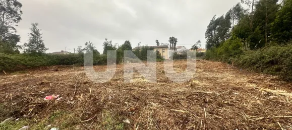  Land in Rio Meao, Portugal No. 79469 4