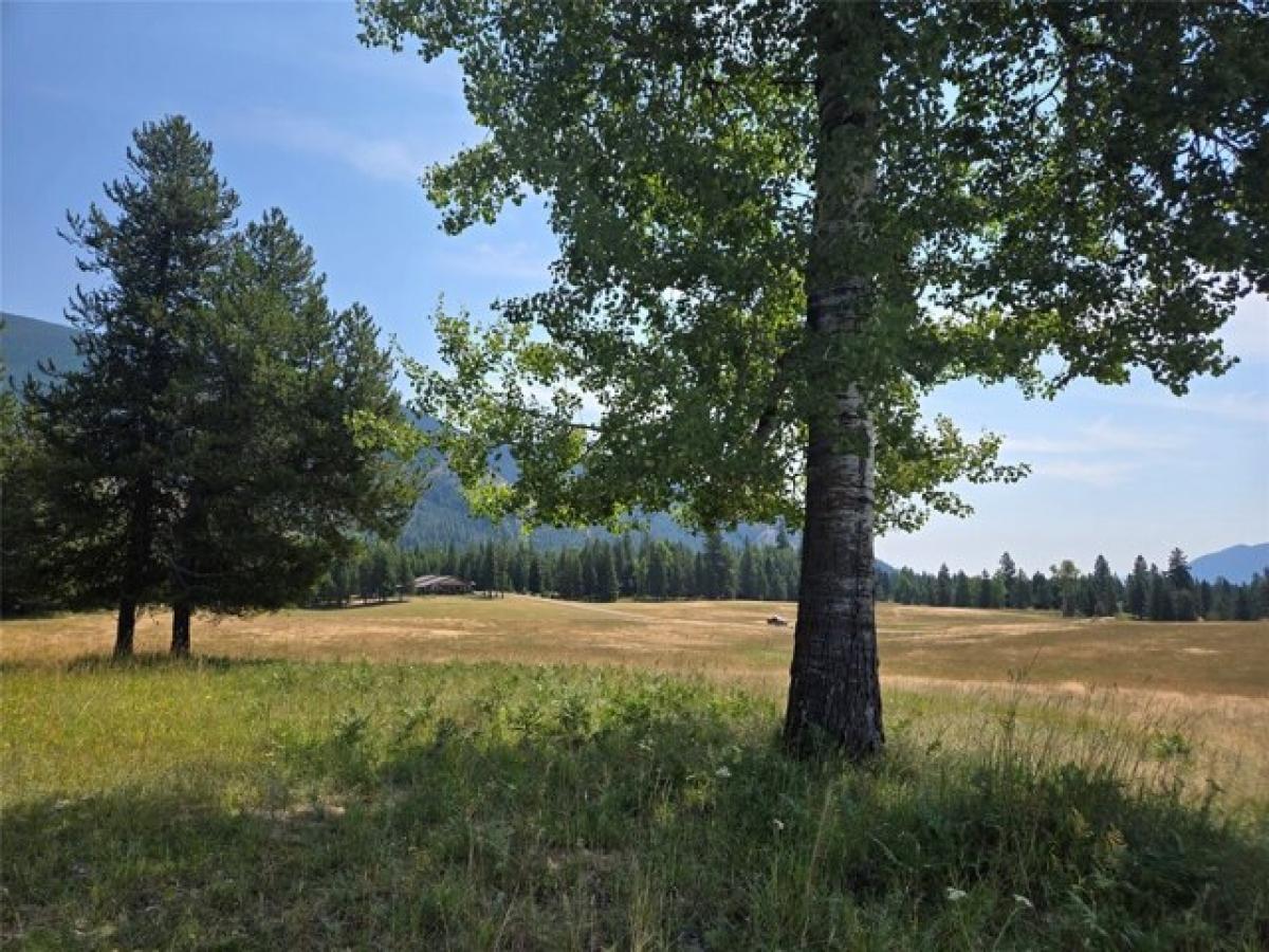  Land in Trout Creek, USA No. 517137