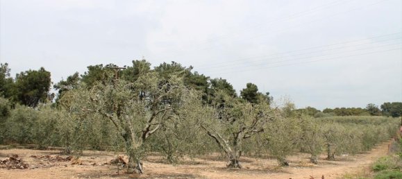 Hotel en Chalkidiki, Greece 4000 m² No. 6386 3