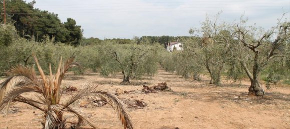 Hotel en Chalkidiki, Greece 4000 m² No. 6386 2