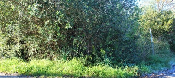  فندق في Corfu, Greece 17500متر مربع رقم 4353 2