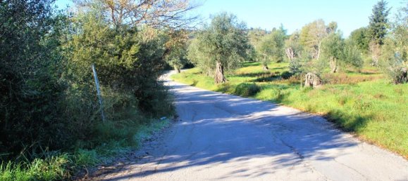  فندق في Corfu, Greece 17500متر مربع رقم 4353 3