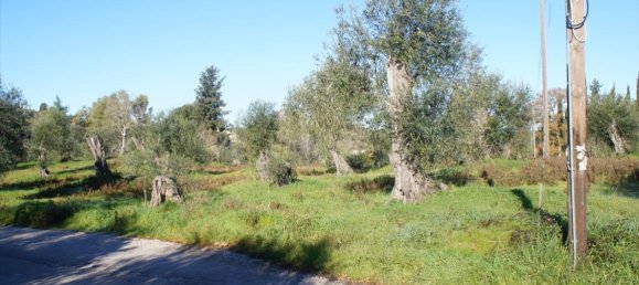  فندق في Corfu, Greece 17500متر مربع رقم 4353 6