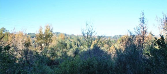  فندق في Corfu, Greece 17500متر مربع رقم 4353 8