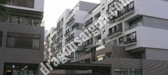220m² Apartment in District 7, Vietnam No. 11155 4