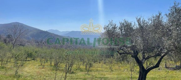  قطعة أرض في Avella, Italy 10850متر مربع رقم 61675 7