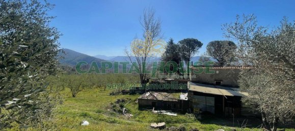  قطعة أرض في Avella, Italy 10850متر مربع رقم 61675 9