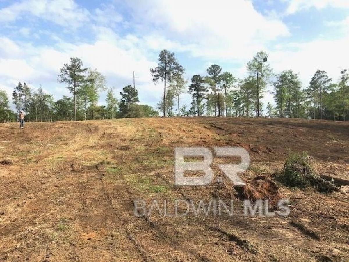  Land in Bay Minette, USA No. 482089