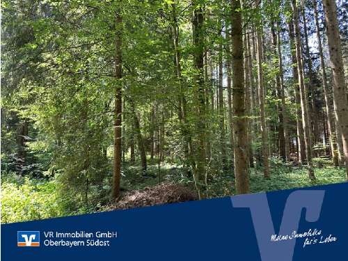 Terreno en Traunstein, Germany No. 174401