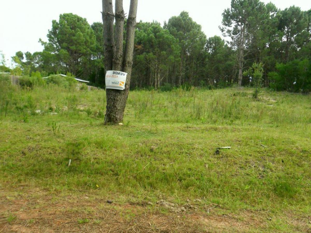 Terreno em Maldonado, Uruguay N.º 15811