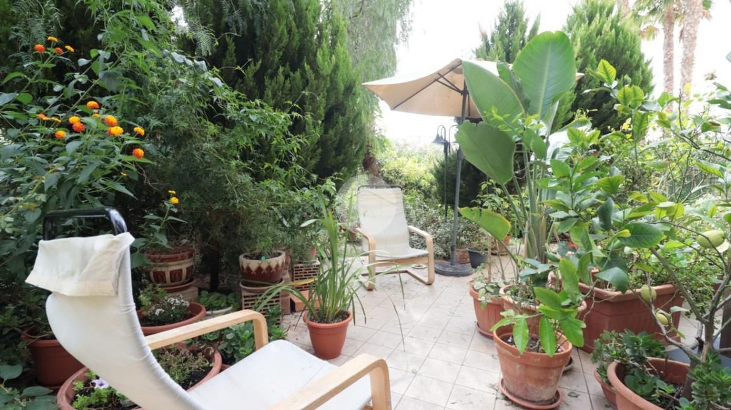 4 Schlafzimmer Wohnung in Ripatransone, Italy, Nr. 320046