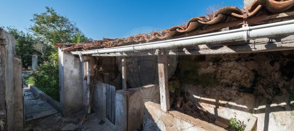 5 غرف نوم منزل في Obidos, Portugal رقم 20299 8