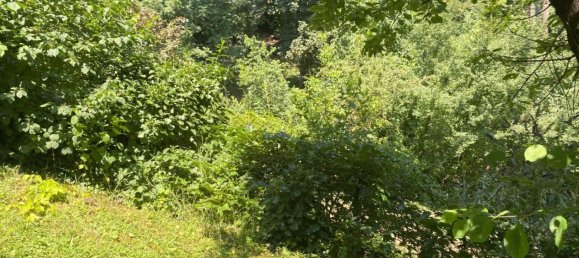 Земельный участок в Пенцинг, Австрия № 195033 2