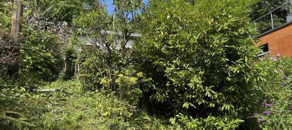 Земельный участок в Пенцинг, Австрия № 195033 9