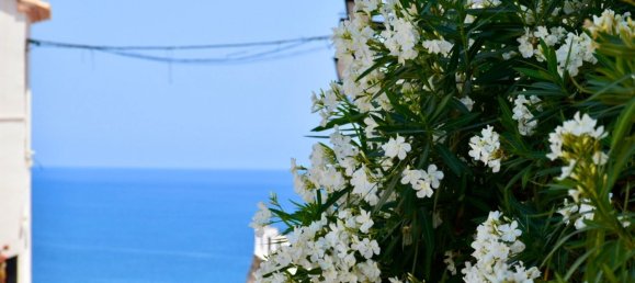 2 bedrooms House in Altea, Spain No. 155438 20