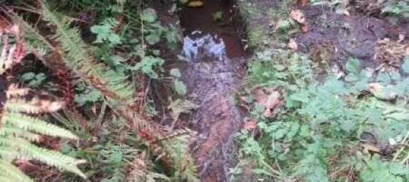 Bungalow de 2 divisões em Gotha, Germany N.º 182956 12