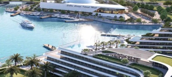 Studio in Umm Al Quwain Marina, UAE No. 42025 5