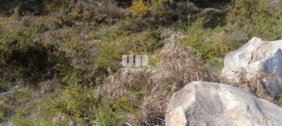 12500m² Land in Penafiel, Portugal No. 63929 3