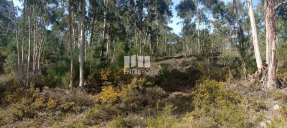 12500m² Land in Penafiel, Portugal No. 63929 2