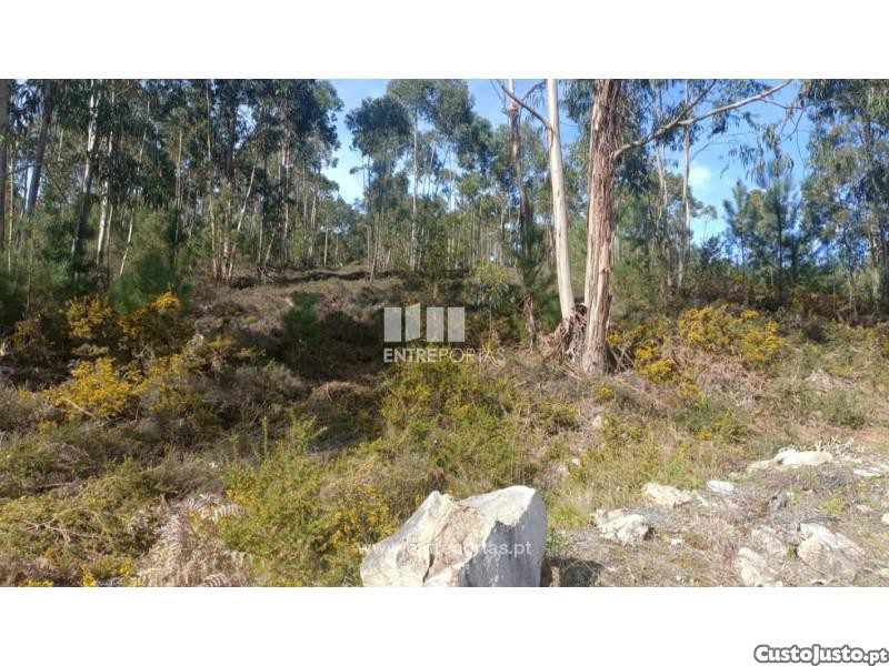 12500m² Land in Penafiel, Portugal No. 63929