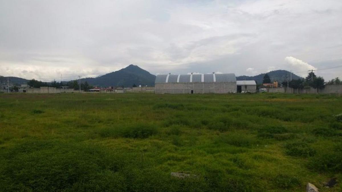 Grundstück in San Buenaventura, Mexico, Nr. 203680