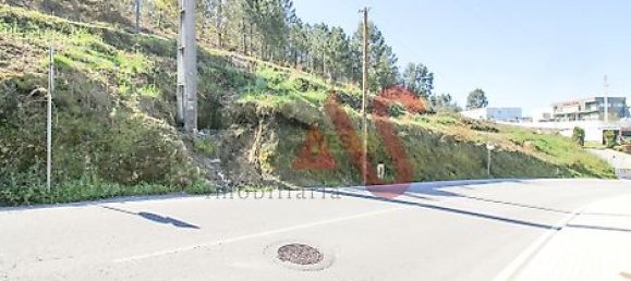 4227m² Land in Vizela, Portugal No. 40788 3