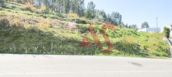 4227m² Land in Vizela, Portugal No. 40788 6