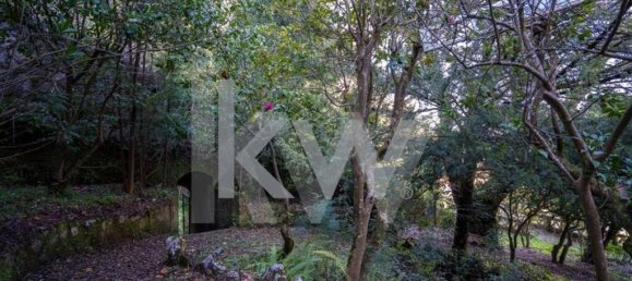 10 غرف نوم قلاع في Sintra, Portugal رقم 126124 9