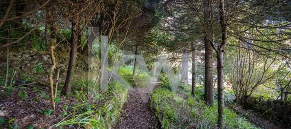 10 غرف نوم قلاع في Sintra, Portugal رقم 126124 11