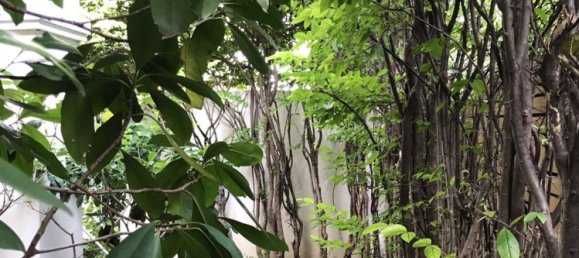 3 Schlafzimmer Bungalow in Bangkok, Thailand, Nr. 7348 6