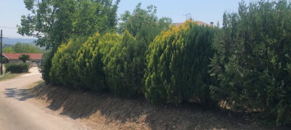 4 rooms House in Moscufo, Italy No. 180645 50