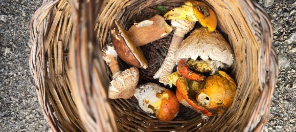 3-Zimmer Haus in Tortorici, Italy, Nr. 255612 17