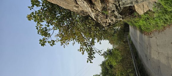 3-Zimmer Haus in Tortorici, Italy, Nr. 255612 19