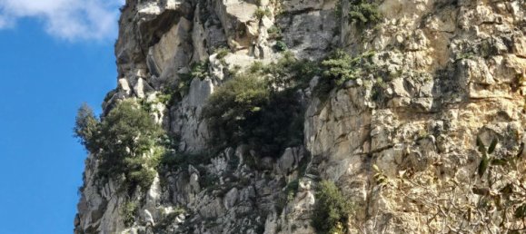 3-Zimmer Haus in Tortorici, Italy, Nr. 255612 7