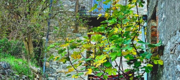 3-Zimmer Haus in Tortorici, Italy, Nr. 255612 5