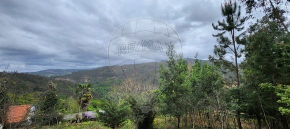 قطعة أرض في Sever do Vouga, Portugal 1775متر مربع رقم 69588 15