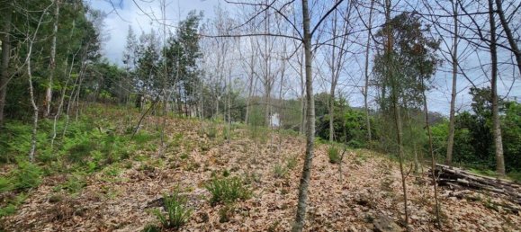 قطعة أرض في Sever do Vouga, Portugal 1775متر مربع رقم 69588 13