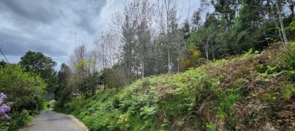 قطعة أرض في Sever do Vouga, Portugal 1775متر مربع رقم 69588 9